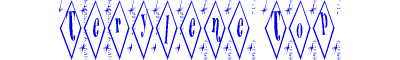 Terylene+Top+(mrn)